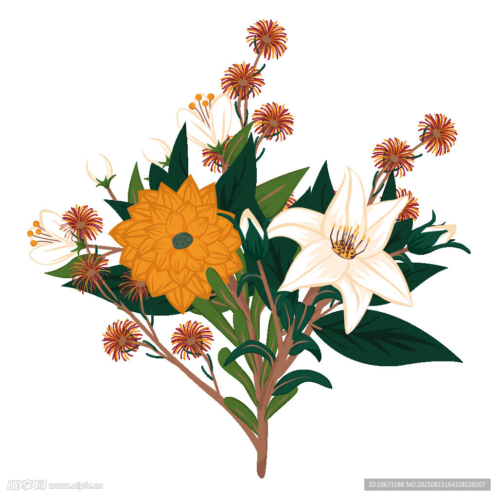 多彩花卉插画