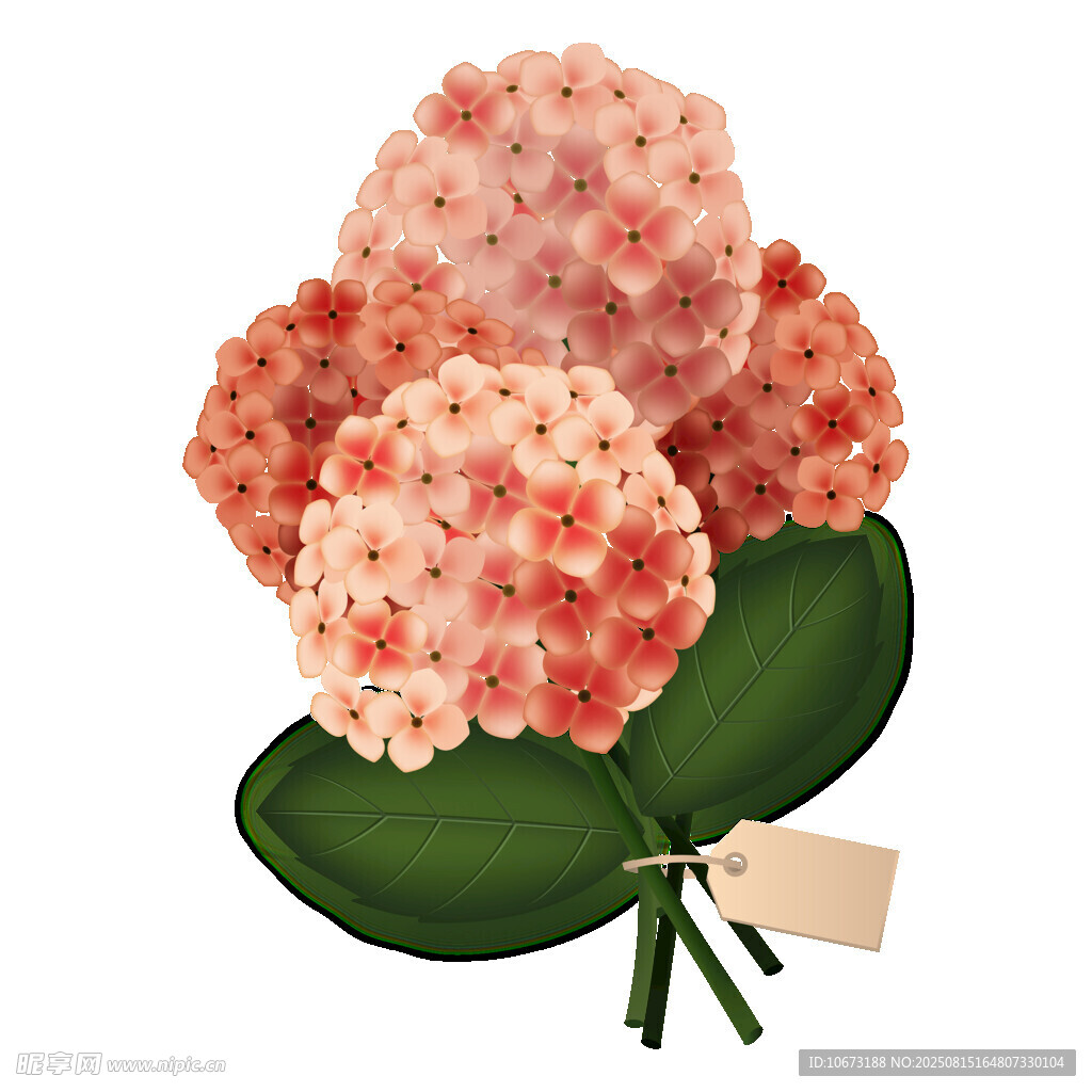 手绘粉色花朵配绿叶