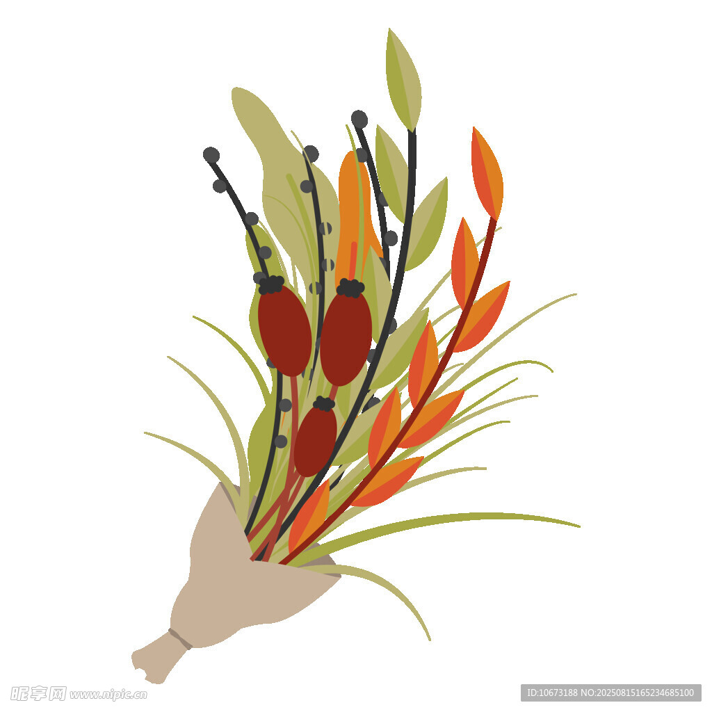手绘秋季植物花束插画
