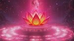 梦幻莲花中的神秘光影