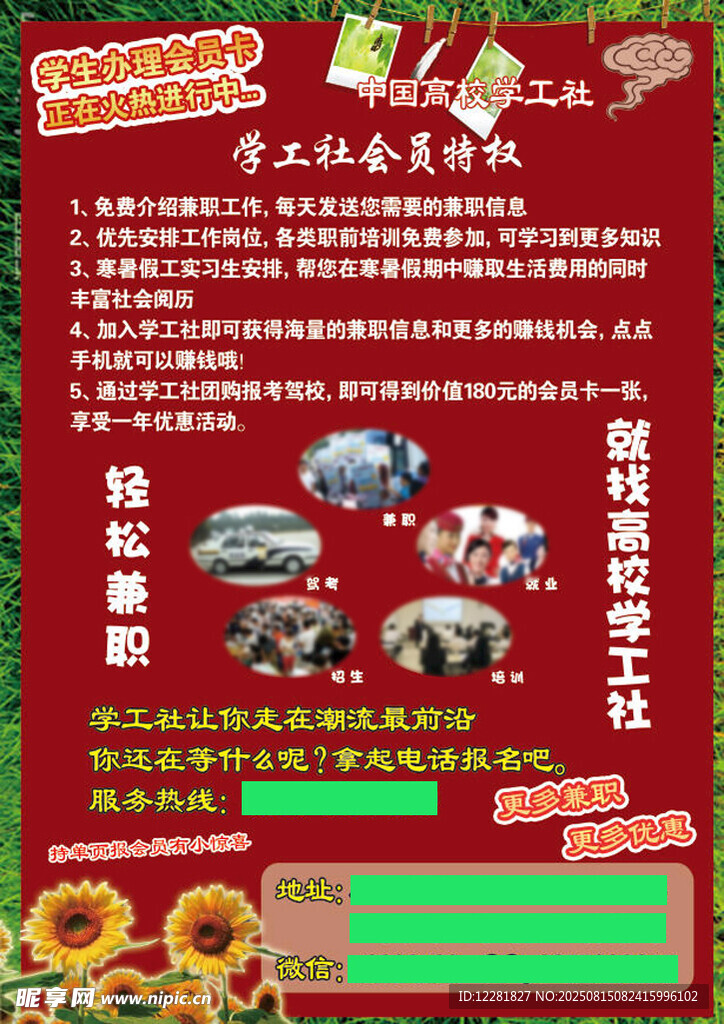 向日葵社员招募活动