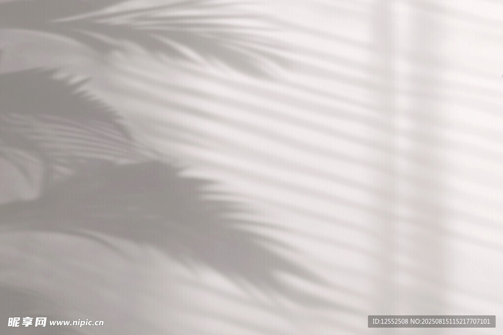 光影下的棕榈叶剪影