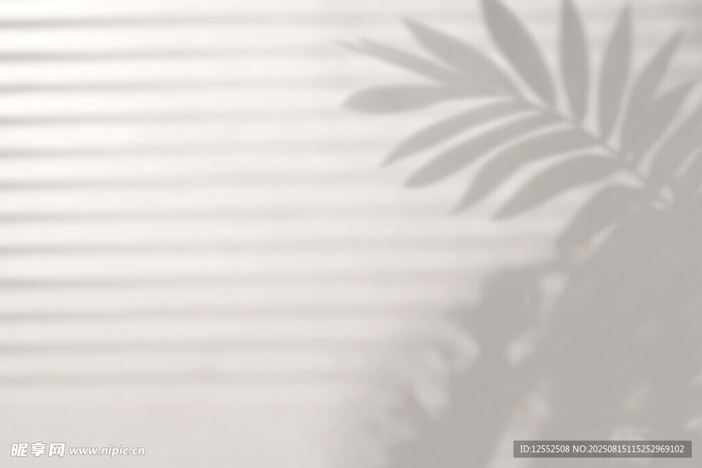 百叶窗前的植物光影