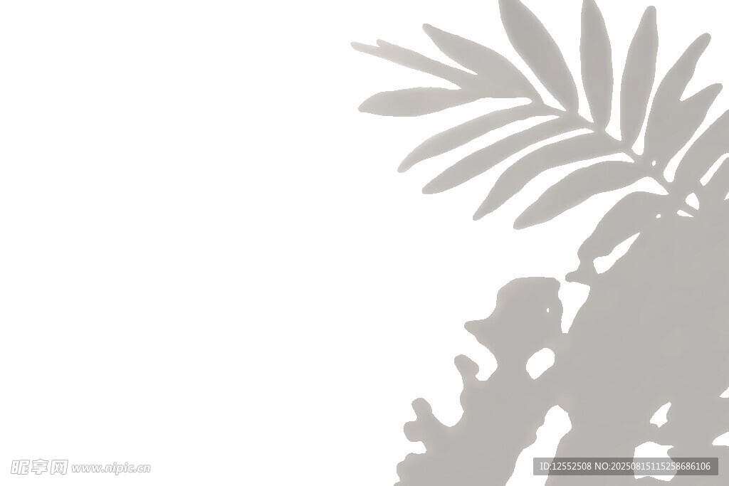 简约植物剪影图案