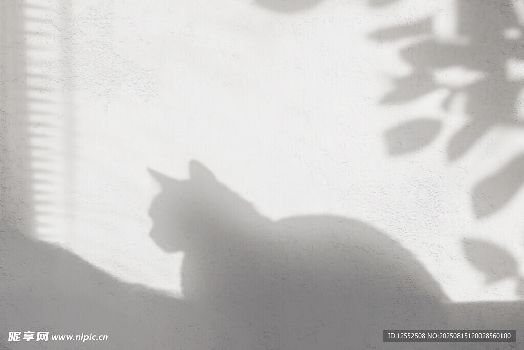 窗边猫咪的剪影