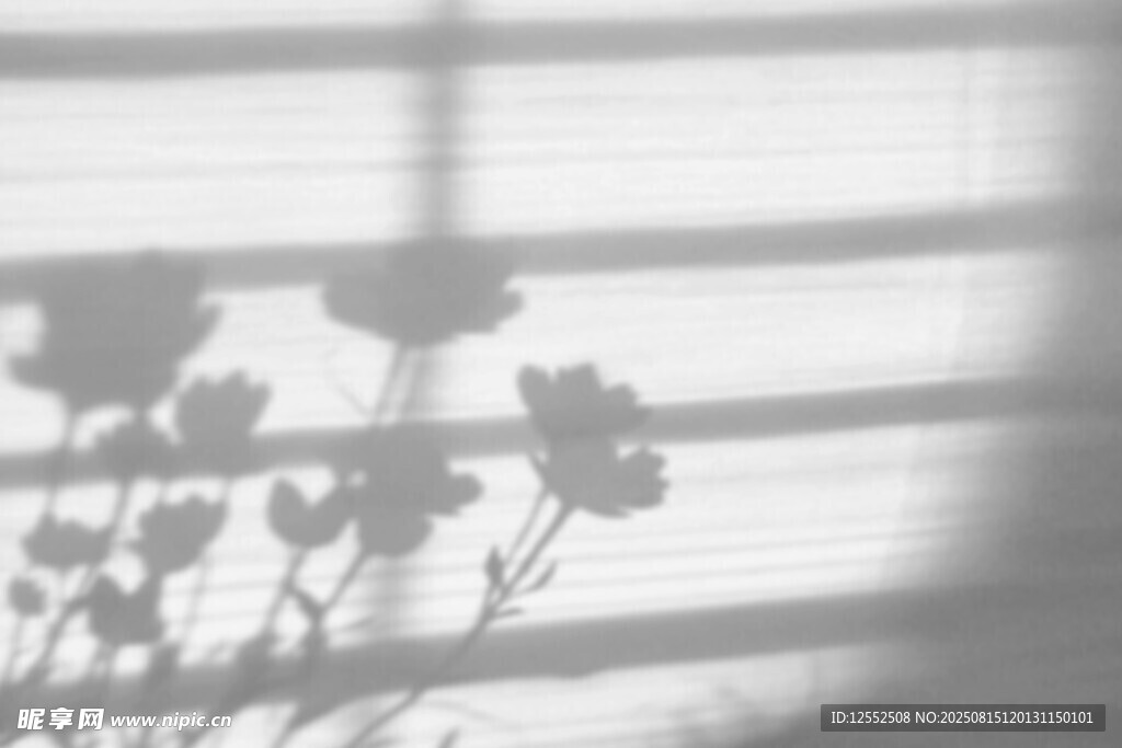 窗下花影