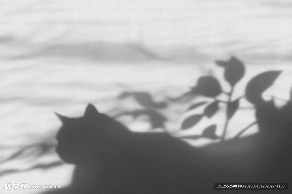 剪影黑猫与植物的静谧画面