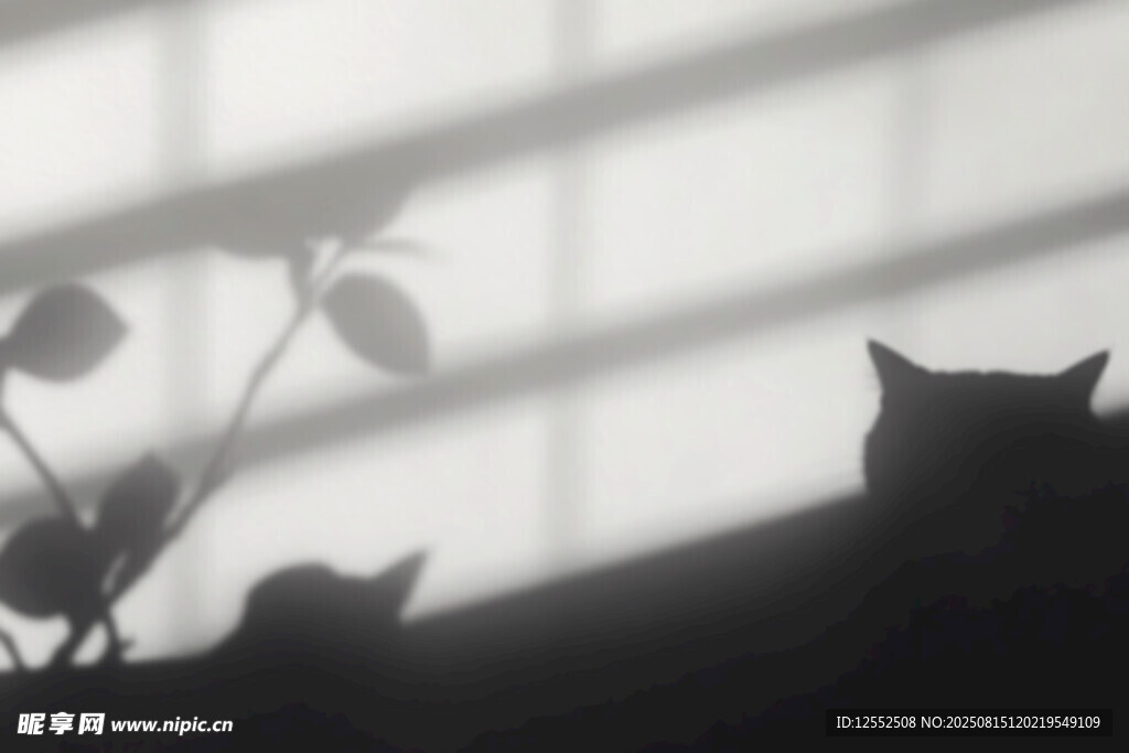窗边猫咪与绿植的剪影