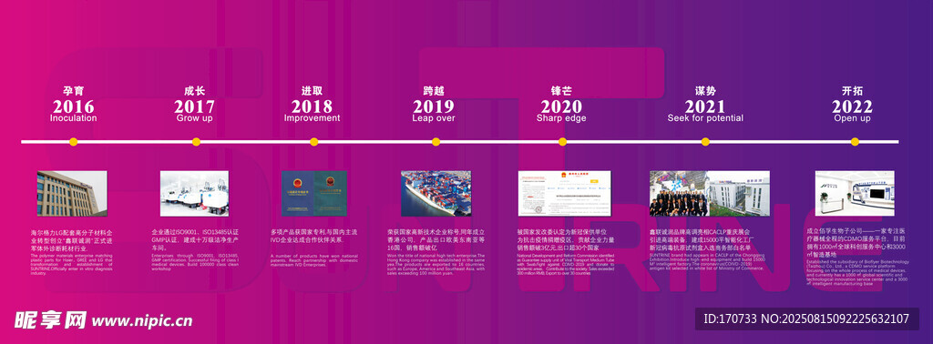 公司发展历程