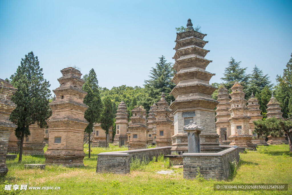 少林寺的森林宝塔中国少林寺的