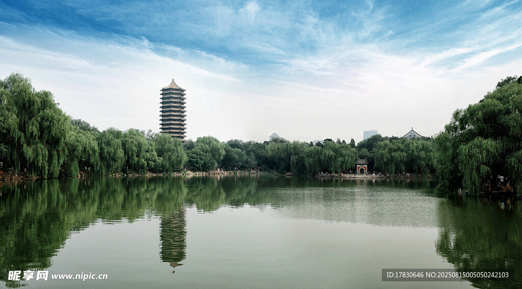 湖畔绿树映高楼美景