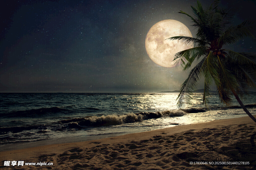 月夜下的海滩与椰树