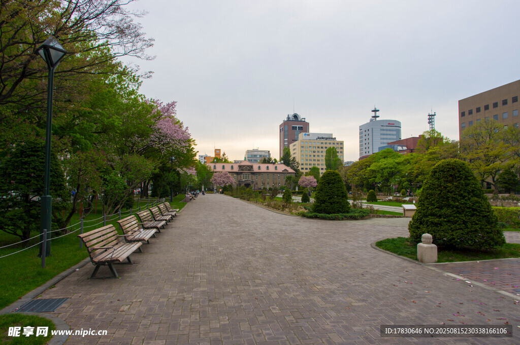 城市公园中的宁静林荫步道
