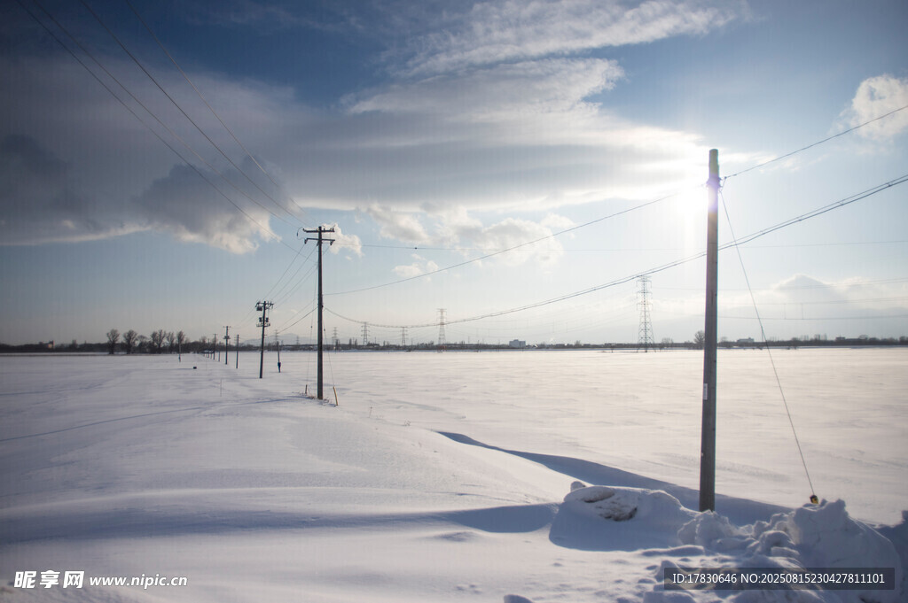冬日雪地中的电线杆景象