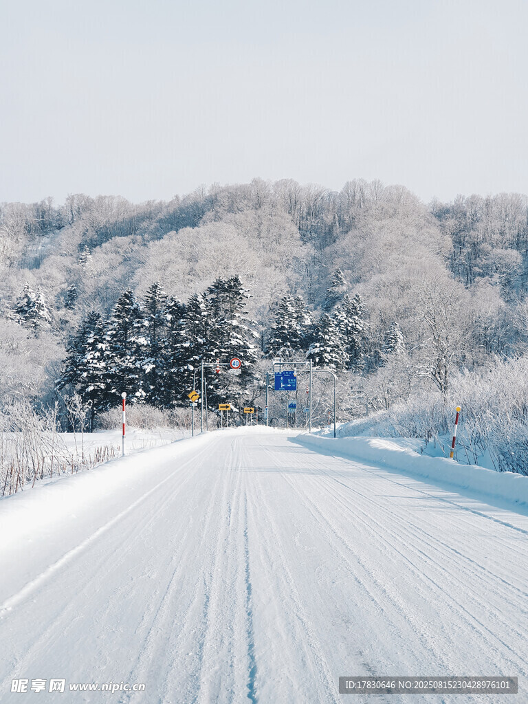 冬日雪覆公路美景