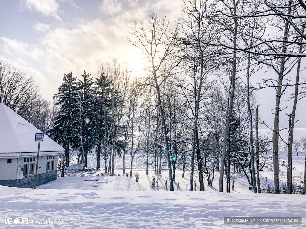 冬日雪景中的静谧林间小屋