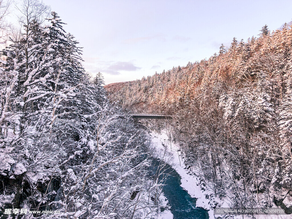 冬日雪覆山林间的河流