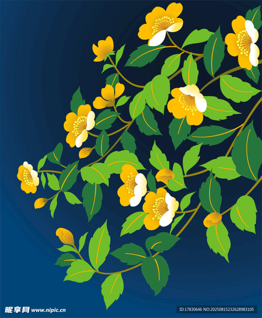 蓝底黄白花卉插画