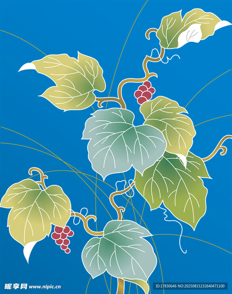 蓝底藤蔓绿叶果实插画