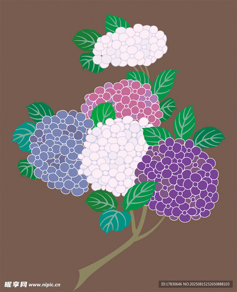 多彩绣球花插画