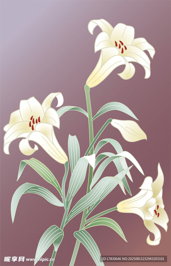 手绘淡雅百合花