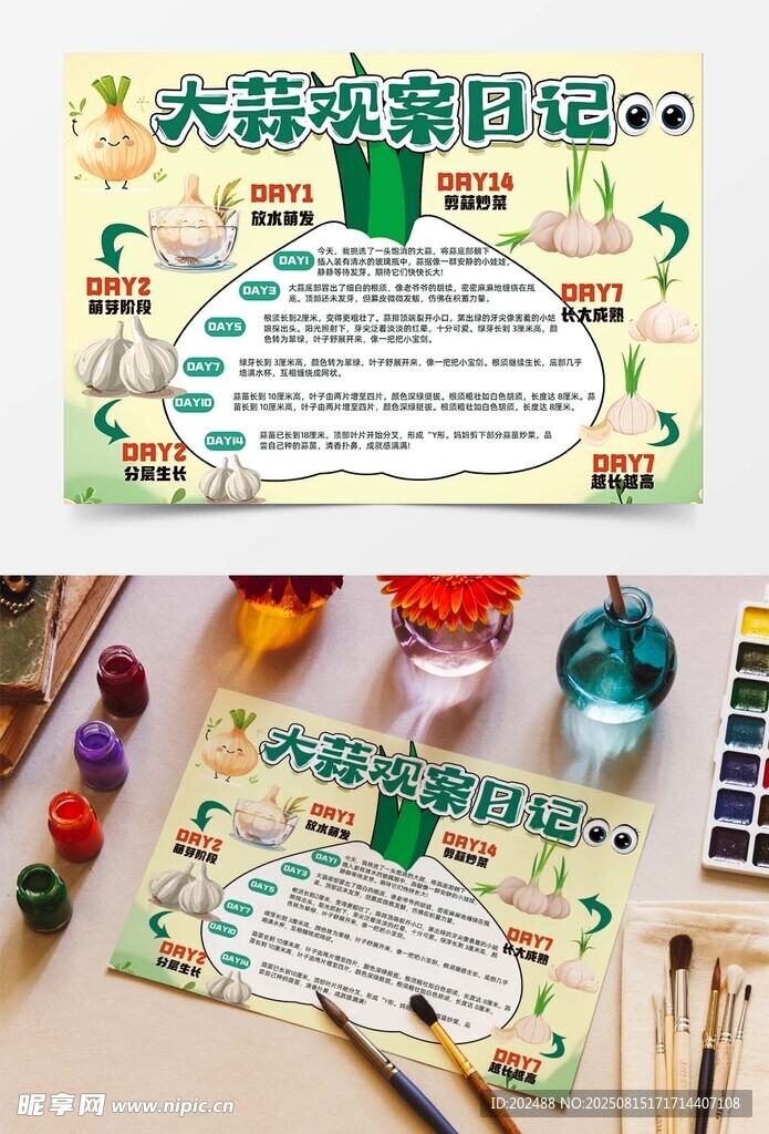 大蒜观察日可爱插画食物手抄报