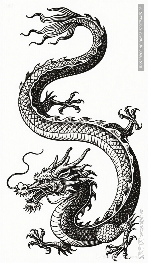 传统中国龙图案