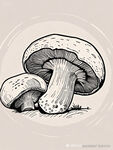 手绘蘑菇插画