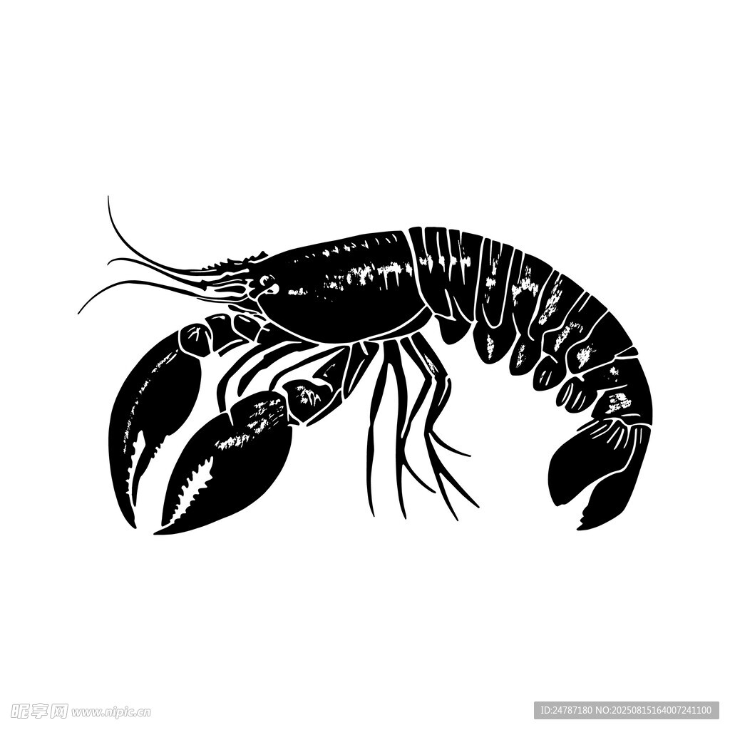 手绘小龙虾