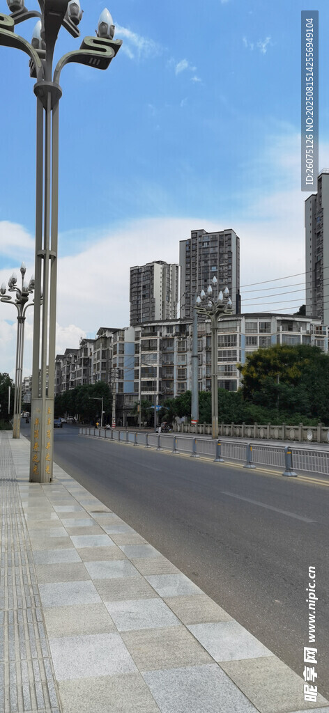 城市街道旁的路灯与建筑