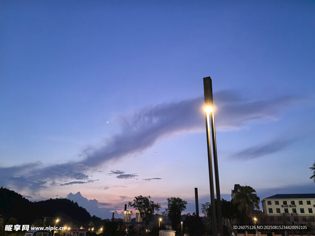 蓝紫色天空与路灯下的宁静景致