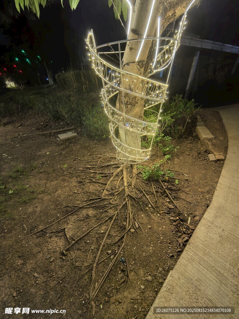 缠绕装饰的户外小树