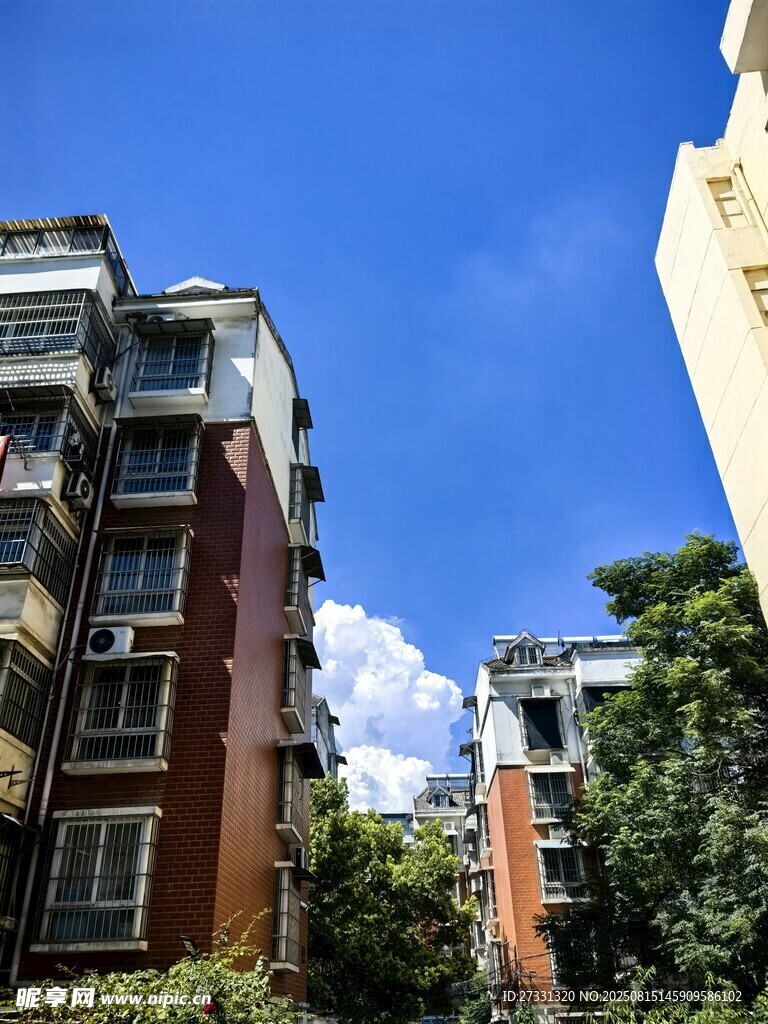 高层住宅与蓝天绿树景观