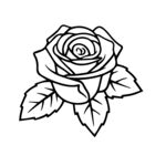 玫瑰花矢量图