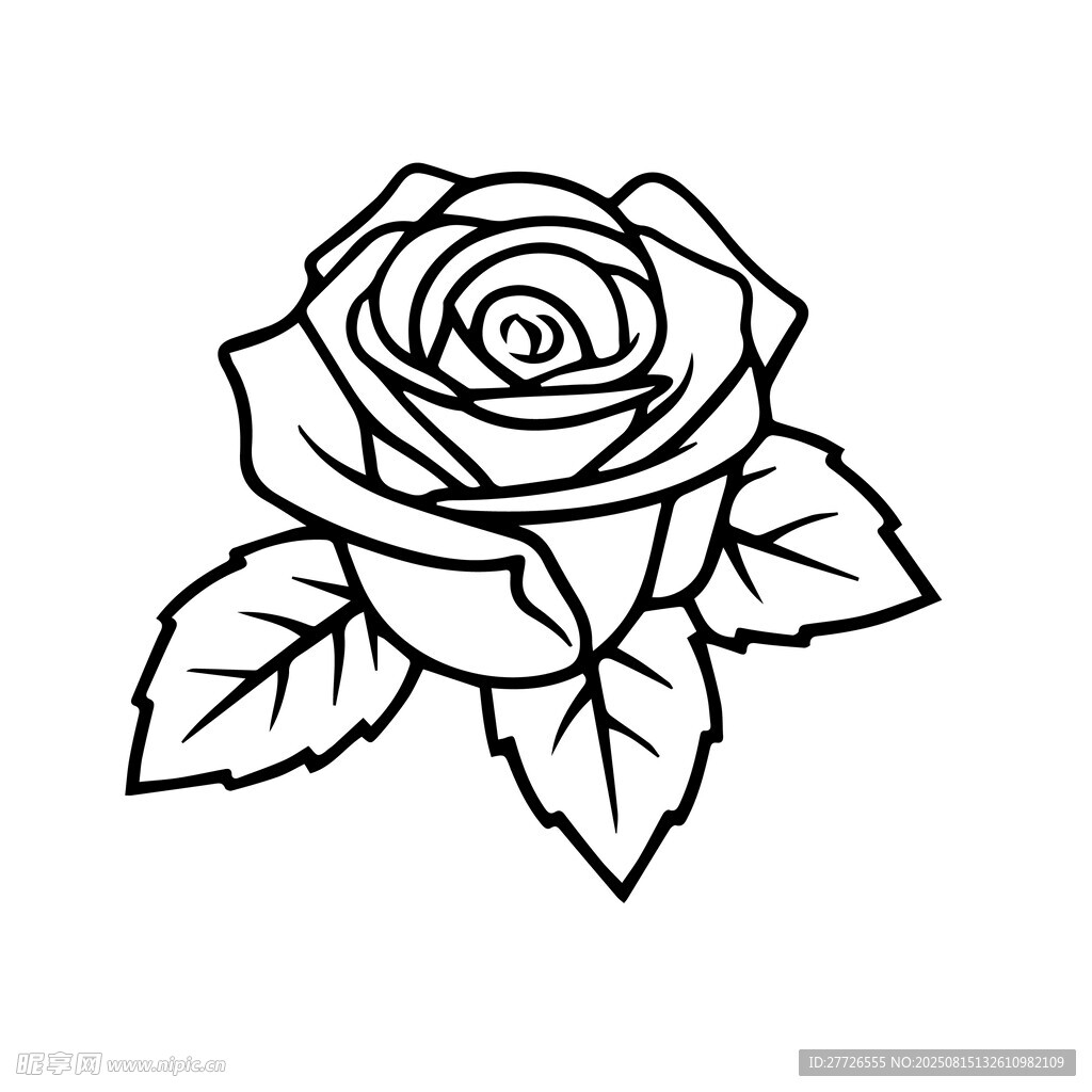 玫瑰花矢量图