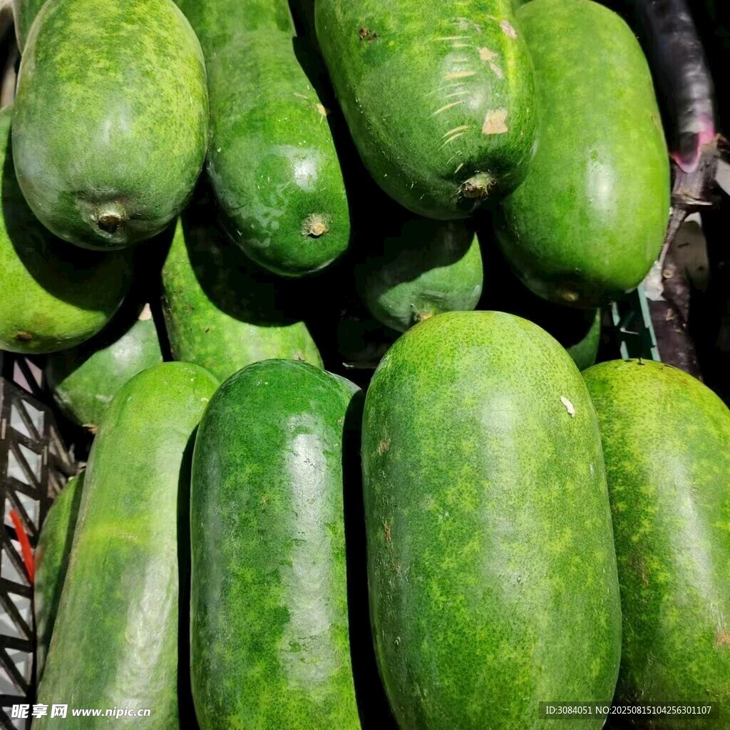 冬瓜