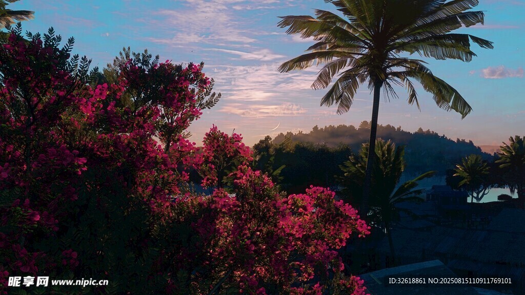 夕阳下的繁花与棕榈树