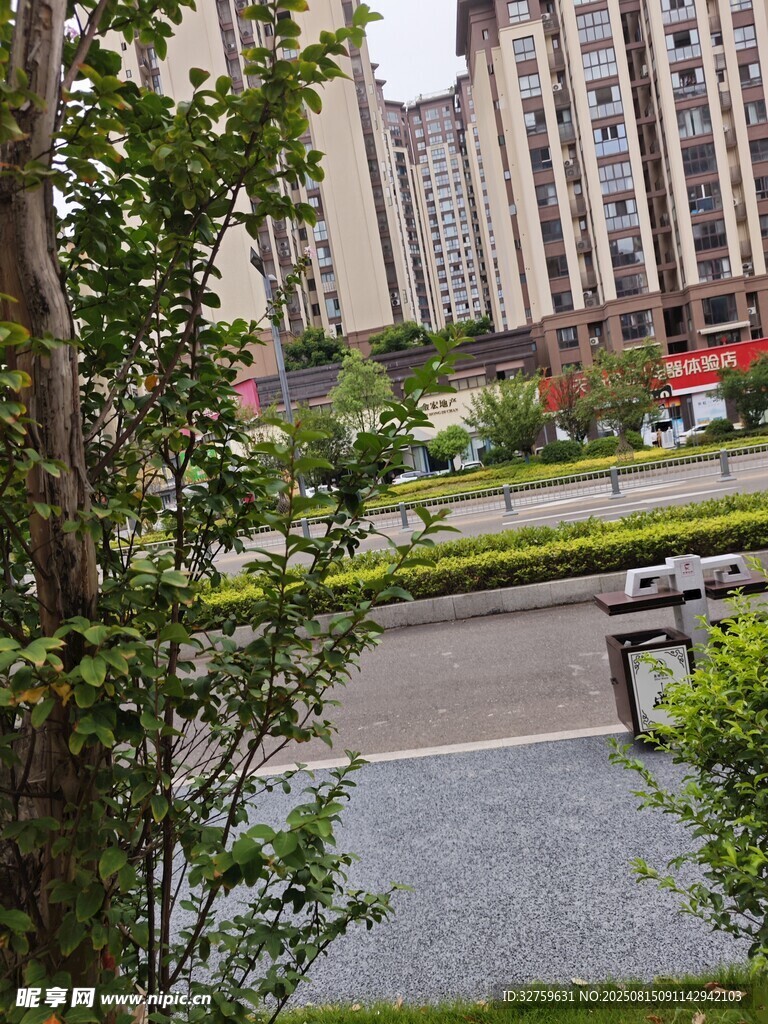 小区景观中的绿植与建筑
