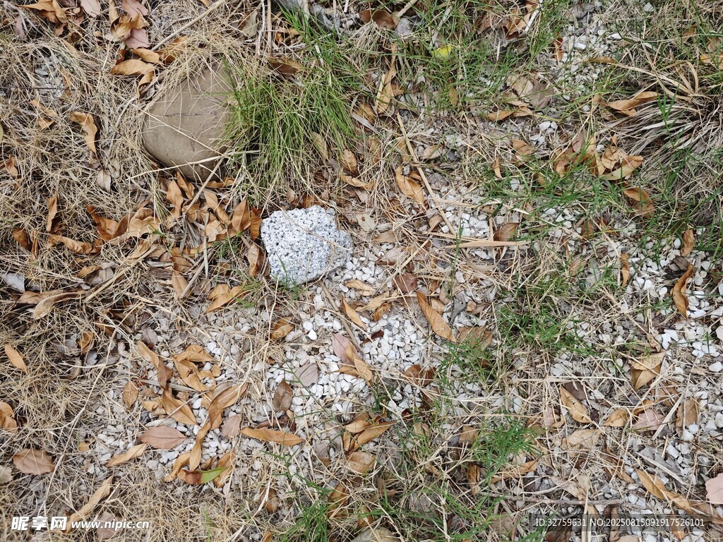 地面散落的白色石头