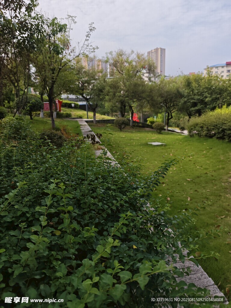 城市中的绿意花园角落