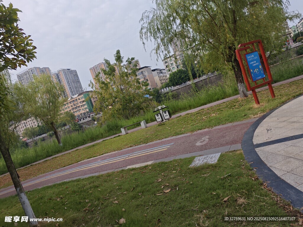 城市公园中的休闲景致
