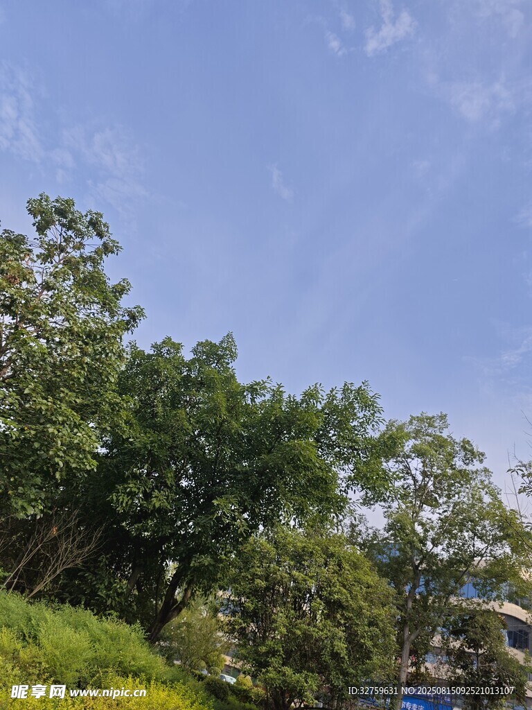 蓝天绿树自然风景图