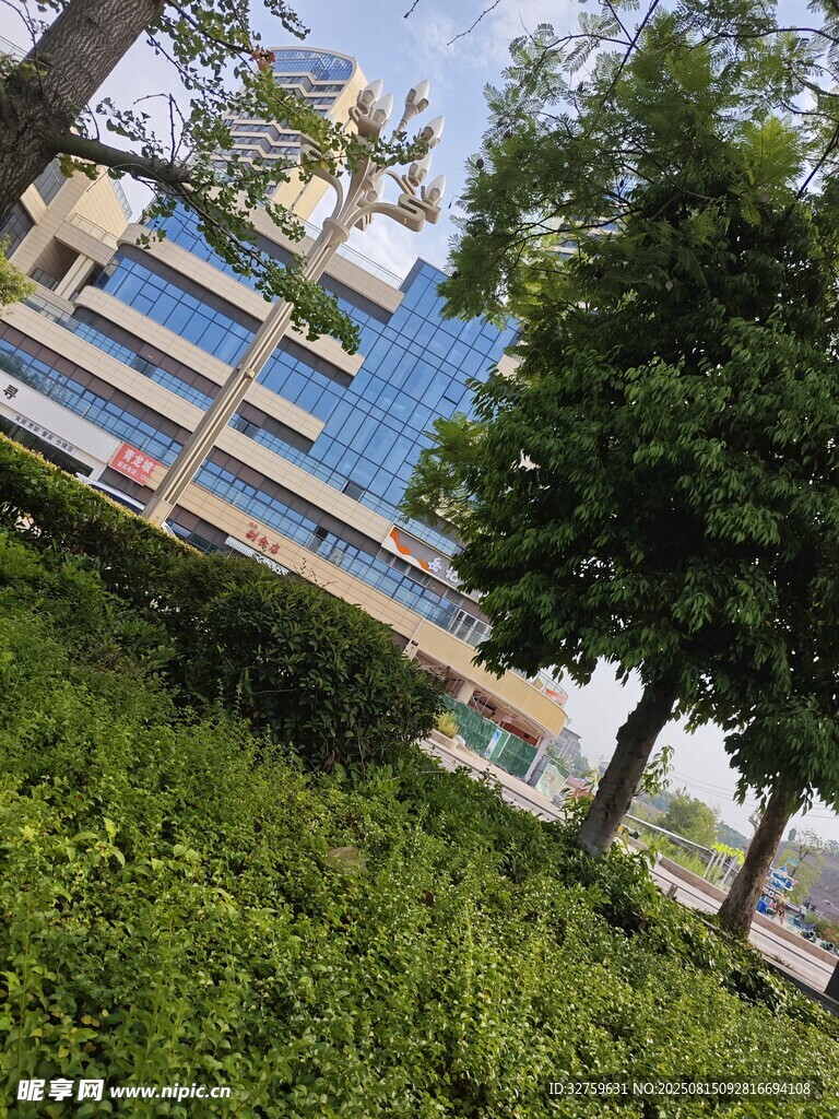 绿树掩映下的现代建筑