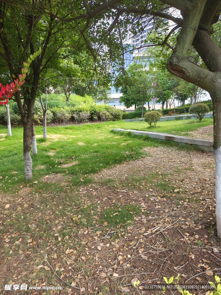 绿意盎然的公园林间小道