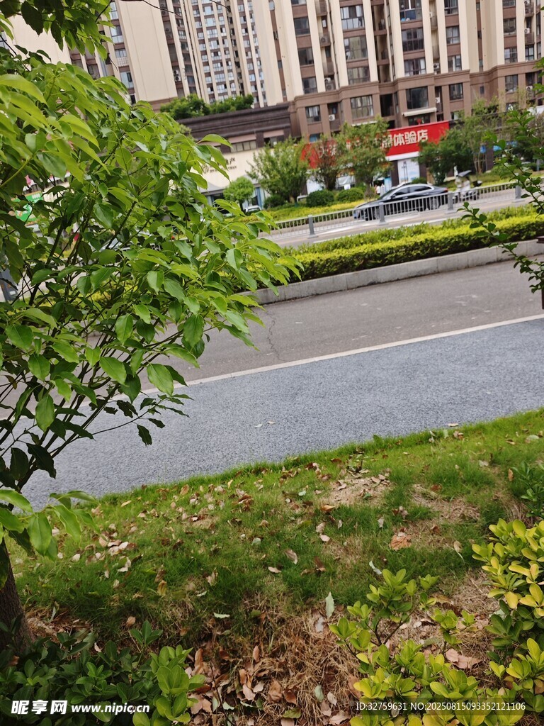 小区内的绿化景观