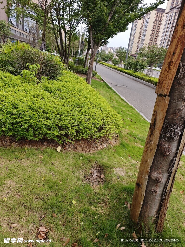 路边绿植与木质围栏景观