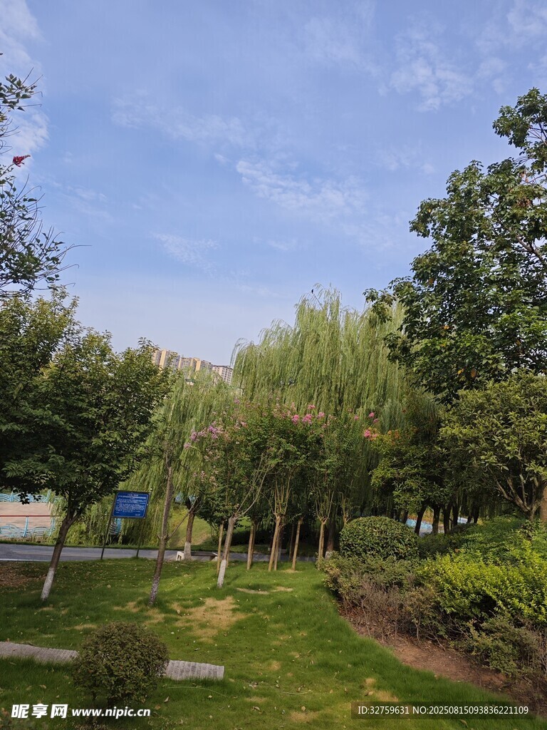绿意盎然的户外园林景色