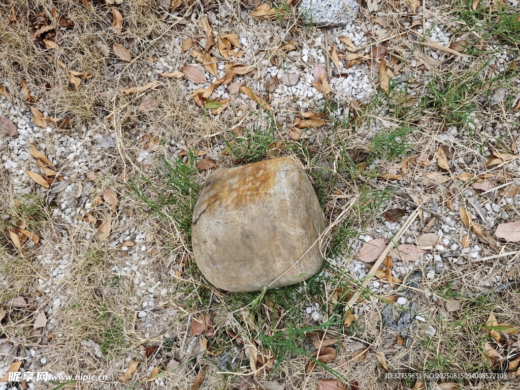 地面上的一块石头