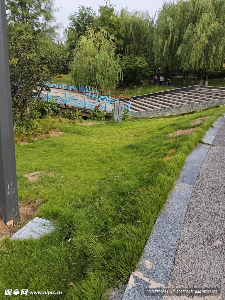 公园幽静小径旁的葱郁草地