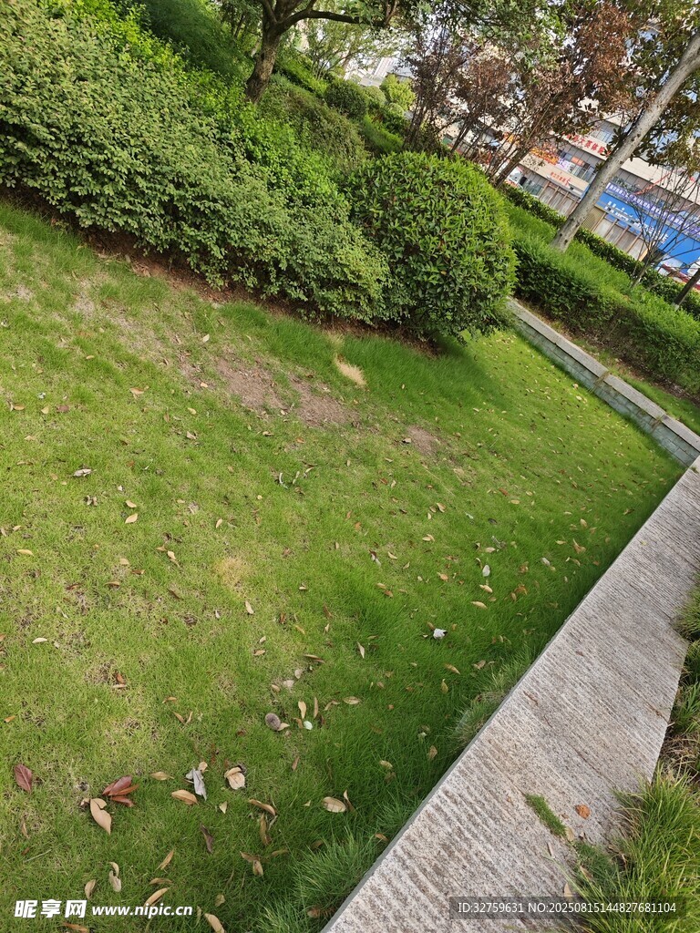 城市绿化带中的草地景观